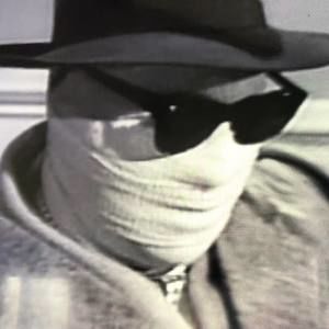 Meet your Posher, Maya